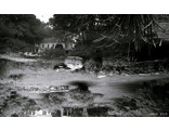 000106_bwneg.jpg