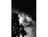 001079_bwneg.jpg