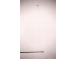 001398_bwneg_tmax400.jpg